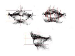 lip vector drawing tips and tricks