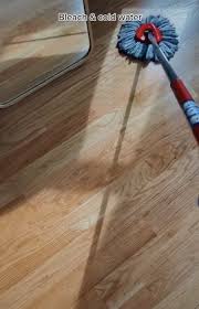 i tried two diffe mopping solutions