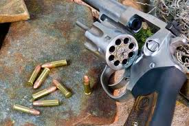 review ruger sp101 22 handguns