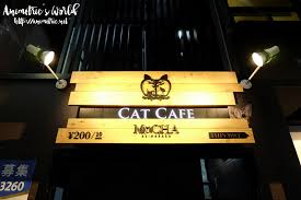Check out our list of the seven best cat cafes in tokyo. Cat Cafe Mocha In Akihabara Japan Animetric S World