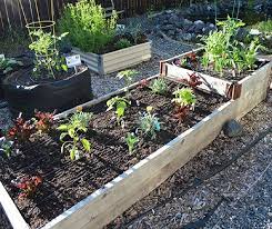 Drip Irrigation Systems In Gardens