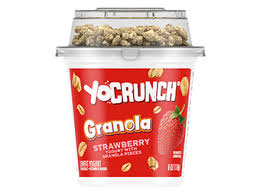 lowfat yogurt with kellogg s granola