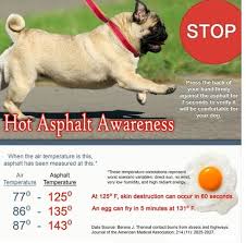 Summer Pet Tips Hot Asphalt And Your Dog Chart Of Outdoor