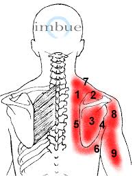 shoulder pain nevada pain las vegas