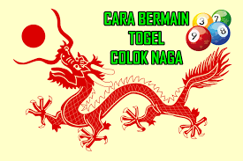 Hasil gambar untuk Colok naga Togel online