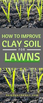 how to improve clay soil for lawns