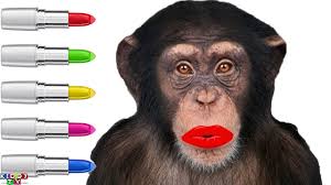 learn colors with monkey doing lipstick