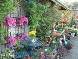Container Gardening Livermore Ca Patch
