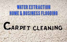 carpet cleaners corpus christi tx