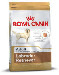 Buy Royal Canin Adult Labrador Dog Food 12 Kg Online At
