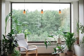Modern Interior With Indoor Plants