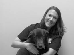 Morgan and our team have been delivering veterinary medical services and compassionate animal care in the omaha area. Veterinary Services In Omaha Ne Veterinarian And Animal Hospital In Omaha Ne Veterinarian And Animal Hospital In Omaha Ne