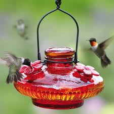 Hummingbird Feeders Yard Envy