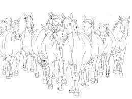 Free coloring sheets to print and download. Herd Of Horses Coloring Pages