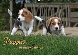 Puppies Birthday Calendar Uk Version