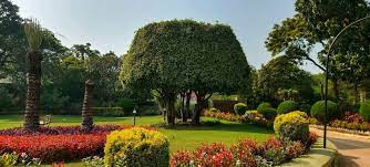top gardening services in pune justdial