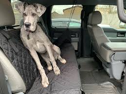 Convertible Dog Car Seat Cover