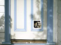 installing a new pet door guest post