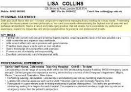 Write Personal Statement in CV     Resume Personal Profile Writing    