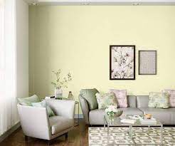 Asian Paints Lakes Shade Paint In