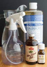 how to make ant repellent spray the