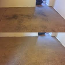 carpet cleaners in lower hutt