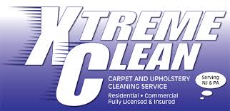 9 best carpet cleaning services