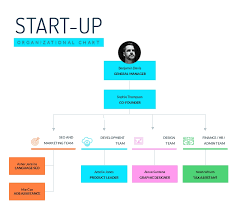 Startup Organizational Chart Infographic Template Visme