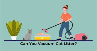 can you vacuum cat litter technomeow