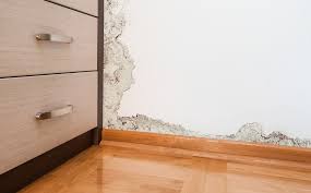 How To Remove Mould From Walls Mould