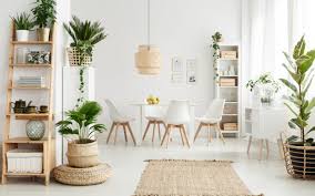 interior decorating with plants