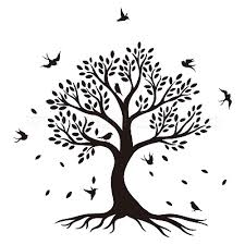 Wall Decal Family Tree Wall Stickers