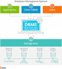 database management systems dbms