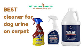 cleaner solution for dog urine on carpet