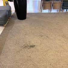 commercial carpet cleaning arwin