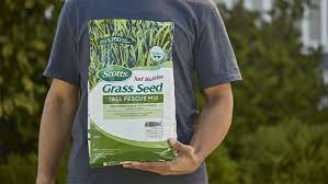 How To Plant Grass Seed Lowe S