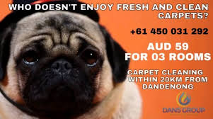 carpet steam cleaning services 59 for