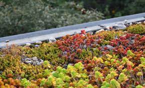 Using Biochar In Green Roofs And Living