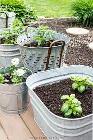 5 Tips For Growing Herbs In Containers