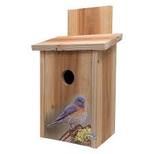 On Stump Design Cedar Blue Bird House