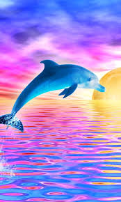 44 live dolphin wallpaper