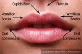 fat transfer for lip augmentation