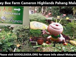 Book hotels and apartments with lowest rates. Honey Bee Farm Cameron Highlands Pahang Malaysia Asia World Tour 500 Best Attraction
