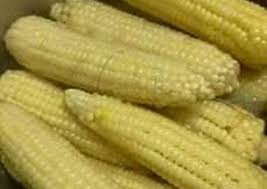 We did not find results for: Boiled Maize Corn Recipe By Chepkemoi Lans Cookpad