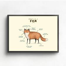 Check out our fox home decor selection for the very best in unique or custom, handmade pieces from our shops. Anatomy Of A Fox Art Painting Wall Pictures For Living Room Decoration Home Decor Painting Calligraphy Aliexpress