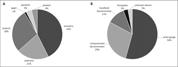 A Pie Chart Depicting An Overview Of Muscle Strength