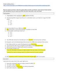 The results for practicing dna transcription and translation answer key. Protein Synthesis Race Worksheet Stensgaard Studocu