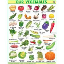 our vegetables jumbo chart size 100 x