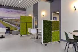Office Plant Dividers Plant