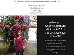 vanda orchidwire listings
